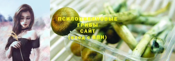 гашик Вяземский