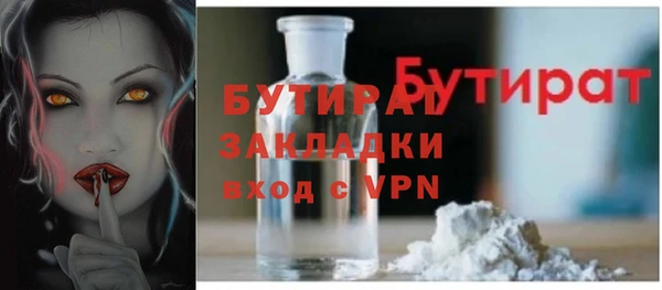 гашик Вяземский
