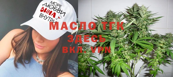 гашик Вяземский