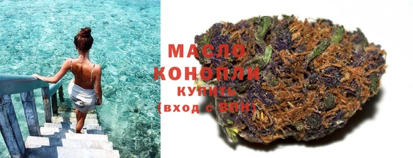 гашик Вяземский