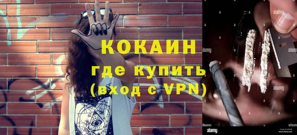 гашик Вяземский