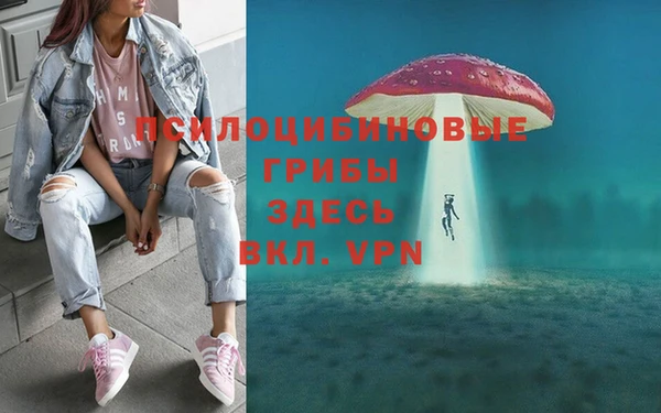 гашик Вяземский