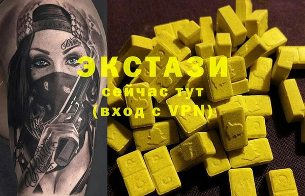 гашик Вяземский