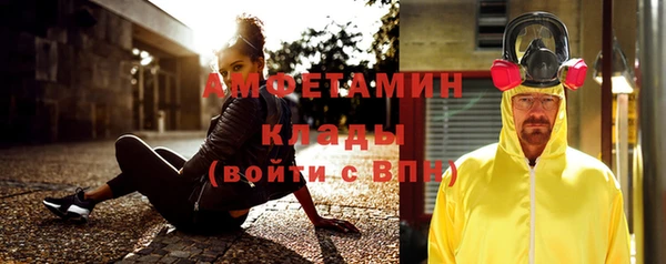 гашик Вяземский