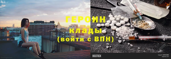 гашик Вяземский