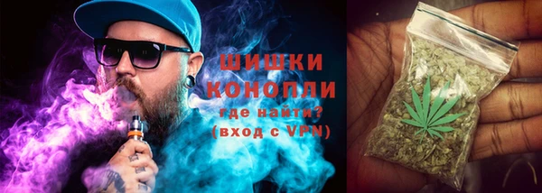 гашик Вяземский