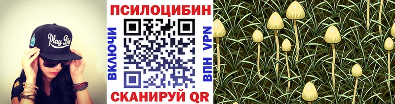 Псилоцибиновые грибы мухоморы  Юрга 